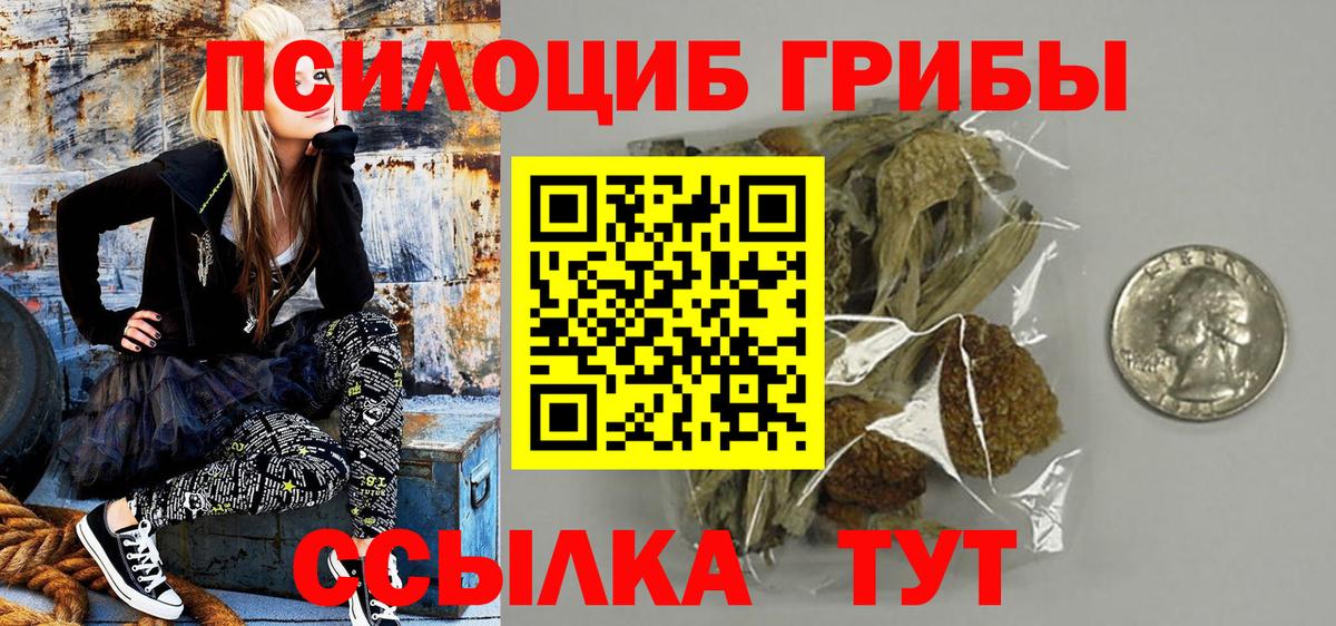 Корсаков  Псилоцибиновые грибы Magic Shrooms  Вход с VPN  где купить наркотик  Галлюциногенные грибы мицелий 